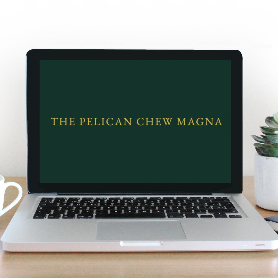 The Pelican, Chew Magna: Website Build & Future Expansion